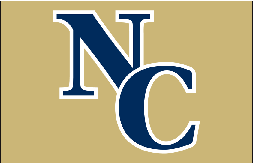 Northern Colorado Bears 2006-2009 Helmet Logo diy iron on heat transfer